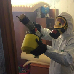 Уничтожение клопов в квартире. Мошково